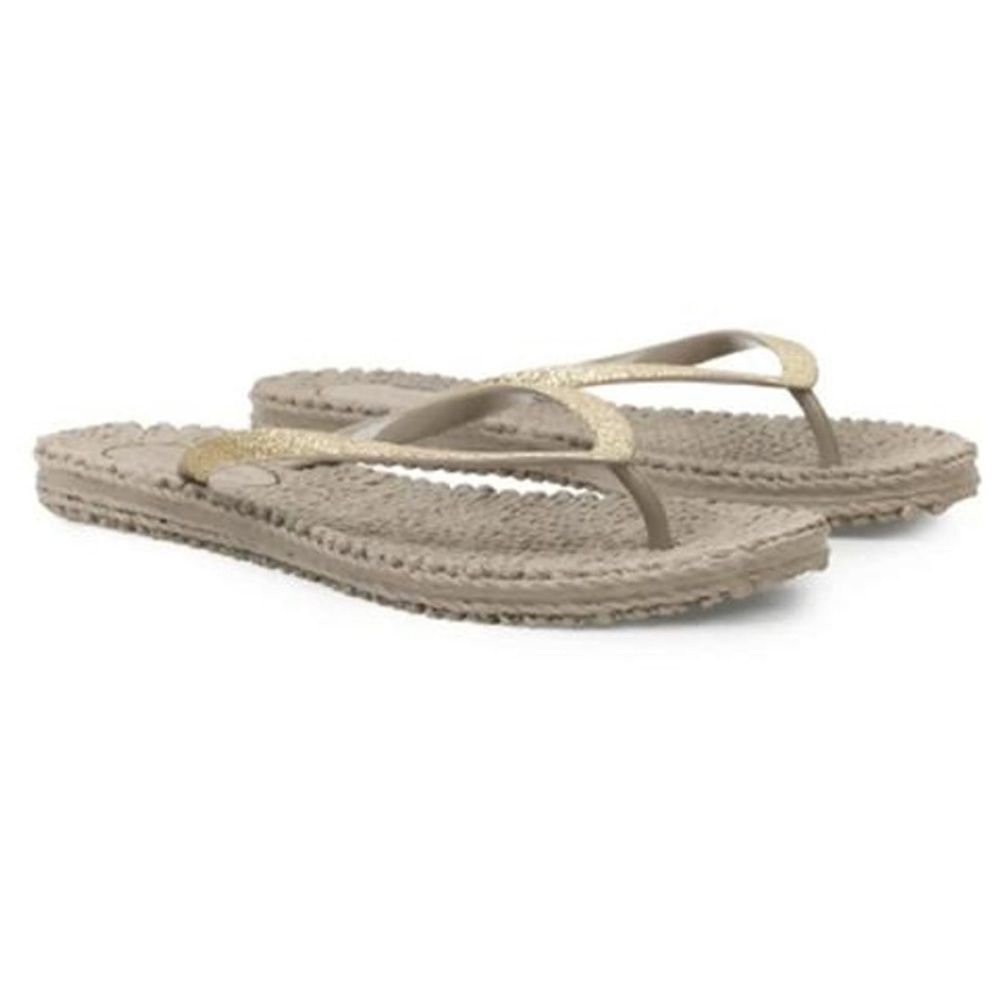 NWOT Ilse Jacobsen Women's Cheerful 01 Flip Flops
Platinum color